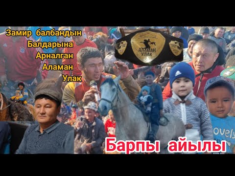 Видео: БАРПЫ Замир балбандын уулдарына арналган улак