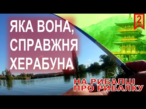 Видео: Японська херабуна - яка вона насправді