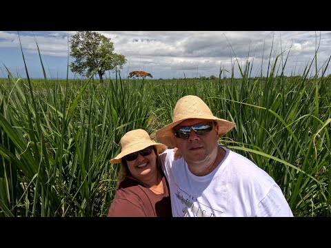 Видео: Маврикий. Едем через плантации тростника на самую южную точку острова.