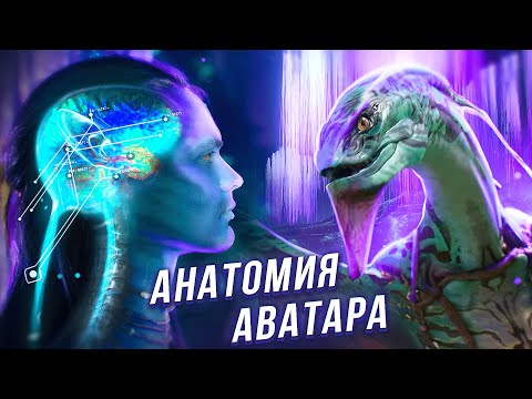 Видео: Аватар: Биология местной флоры и фауны | На'Ви, Пандора, Дыхало, Пролемуры