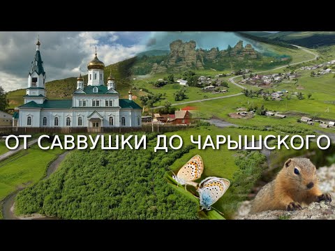 Видео: От Саввушки до Чарышского