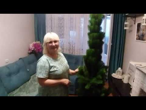 Видео: МЫ КУПИЛИ ЁЛКУ. НАША НОВОГОДНЯЯ КРАСАВИЦА. ВЫБИРАЕМ, ПОКУПАЕМ, СОБИРАЕМ И НАРЯЖАЕМ.