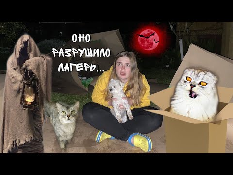 Видео: ЗВЕРОЛАГЕРЯ БОЛЬШЕ НЕТ! МИСТИКА В ЛАГЕРЕ ИЗ КАРТОНА В ПОЛНОЛУНИЕ