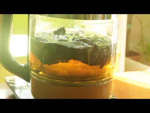 Видео: Дикий линчжи с Тибетского нагорья ( рейши)