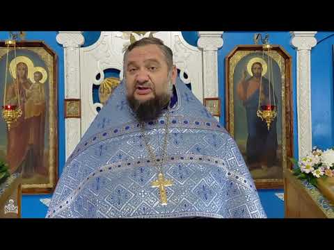 Видео: Прославим Богородицу....