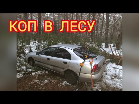 Видео: КОП В ЛЕСУ С КОМРАДОВОЙ ACE250 С DD КАТУШКОЙ