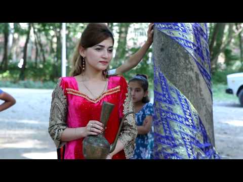 Видео: Шоми Турсунзода ТАДАЗ ва МБТИ