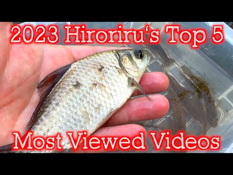 Видео: 【2023】 5 самых просматриваемых видео Хирориру