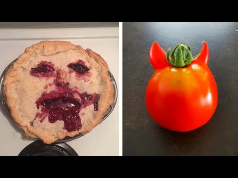 Видео: Фото, которые тебя удивят (часть 36)