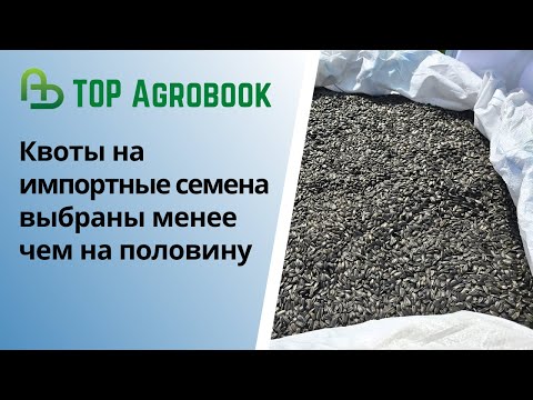 Видео: Квоты на импортные семена выбраны менее чем на половину | TOP Agrobook: обзор аграрных новостей