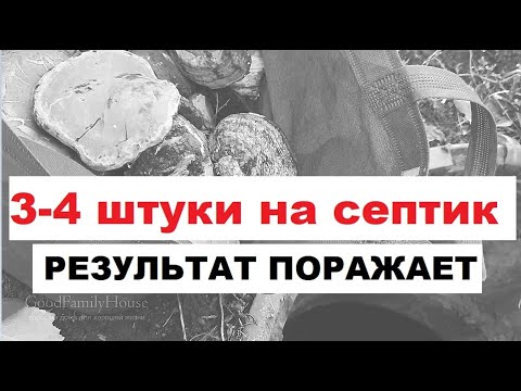 Видео: Бросьте 3-4 штуки этого гриба в септик (выгребную яму). Результаты будут уже через пару дней