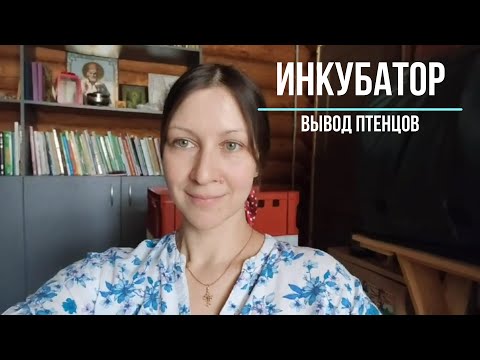 Видео: 17 день инкубации