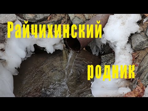 Видео: Райчихинский родник.