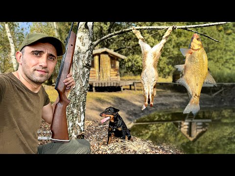 Видео: Охота на зайца и лису. Рыбалка на подлещика [24-Часа]