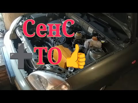 Видео: СенС ➕ Велике ТО 🟰 КПП на столі...