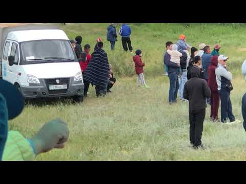Видео: 24.06.2020. Аламан бәйгі   Қарағанды қаласы