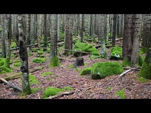 Видео: 8 маршрут.Через горы к морю