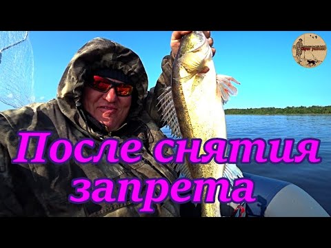 Видео: Рыбалка на водохранилище после снятия запрета .Рыбка присутствует и клюёт.