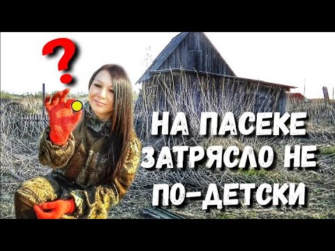 Видео: РАЗРОВНЯЛИ ОГОРОД НА СТАРИННОЙ ПАСЕКЕ И ВЫВАЛИЛИСЬ ДРЕВНИЕ НАХОДКИ. Шашлык в день рождения