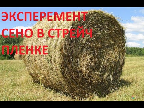 Видео: УПАКОВКА СЕНА В СТРЕЙЧ ПЛАНКУ experiment