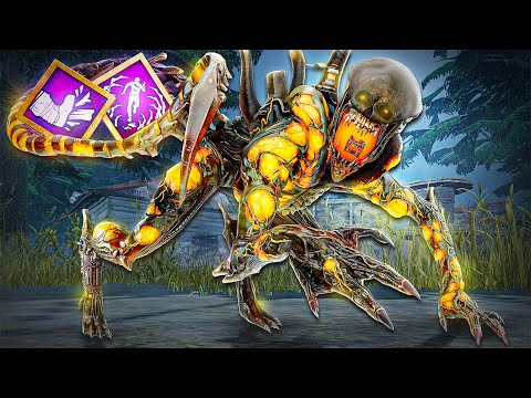 Видео: Три ТОКСИЧНЫХ инопланетных сборки, которые сделают вас НЕУСТАНОВИМЫМ в DBD!