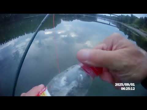 Видео: Fly fishing . Дежавю ровно через три года на плёсе в Vadul lui Voda .
