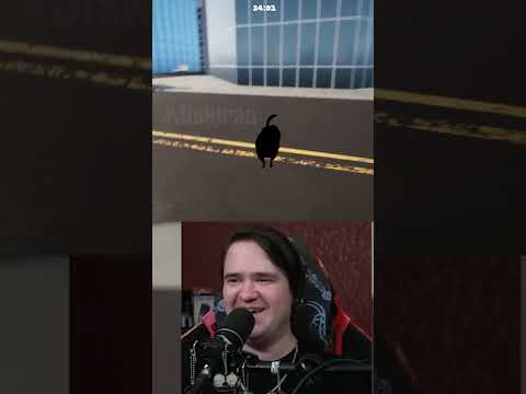 Видео: Кот или Мяч? | Only Way is Down #jiskiran #OnlyWayisDown #cat #chonk #chonkycats #fail