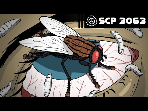 Видео: SCP-3063 - Муха (Анимация SCP) - русская озвучка