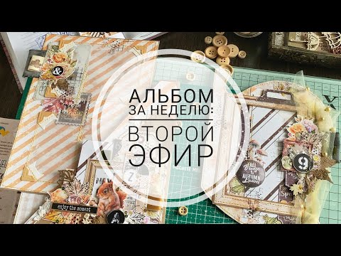 Видео: Альбом за неделю: часть 2