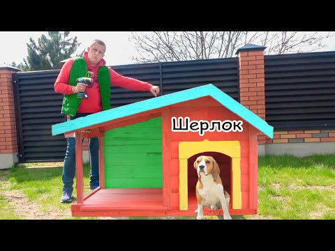 Видео: ШЕРЛОК И ЕГО НОВАЯ БУДКА. БРОС ШОУ ПЕТ