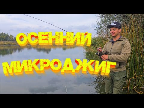 Видео: МИКРОДЖИГ осенью 👍 Стаи голодных окуней ЖРУТ приманки 💪