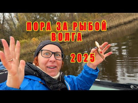 Видео: Выходные на Волге с семьёй, лодкой ПВХ, мотором! Family Weekend on the Volga with a PVC motor boat