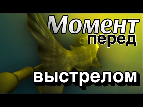 Видео: Подводная охота: секретные тропы прибрежных вод и глубины.