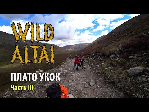 Видео: Алтай. Велопутешествие на Плато Укок. Часть 3