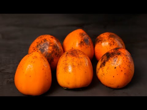 Видео: Собираем хурму и орехи в Мачахельском ущелье. Грузия 2021/Georgia