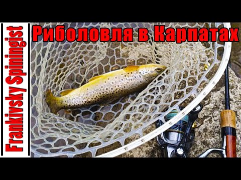 Видео: 🔴 Осіння риболовля в Карпатах | Форель на спінінг в гірській річці