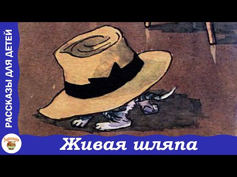 Видео: Живая шляпа. Рассказ Н. Носова