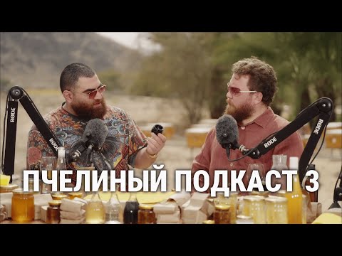 Видео: ПЧЕЛИНЫЙ ПОДКАСТ 3 Арсен Маркарян
