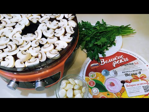 Видео: ДЕЛАЮ ЗАГОТОВКИ с сушилкой ВОЛГА-9 Великие реки.