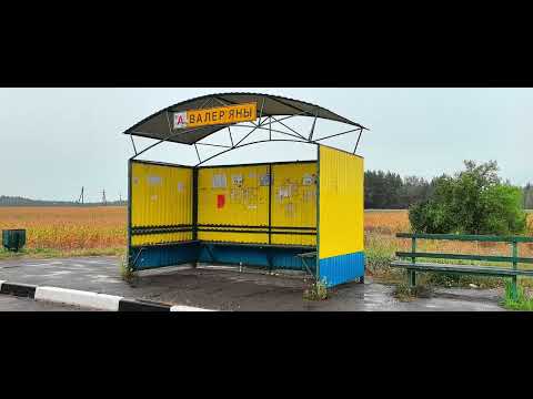 Видео: Продаётся дом за 10000 долларов без торга. Минская область, Узденский район, деревня Валерьяны.
