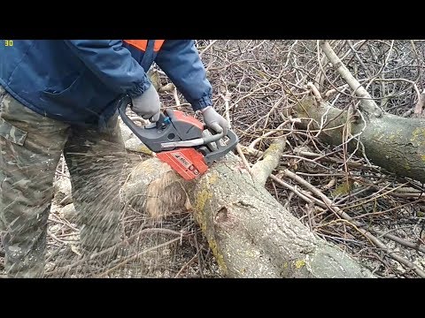 Видео: Бензопила Efco MTH 560 в работе