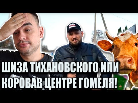 Видео: ШИЗА ТИХАНОВСКОГО ИЛИ КОРОВА В ЦЕНТРЕ ГОМЕЛЯ
