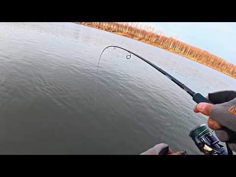 Видео: С таким Судаком и щуку не надо! КРУПНЯК бабахнул на мели! Рыбалка. Спиннинг. Джиг