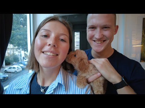 Видео: У НАС ПОЯВИЛАСЬ СОБАКА