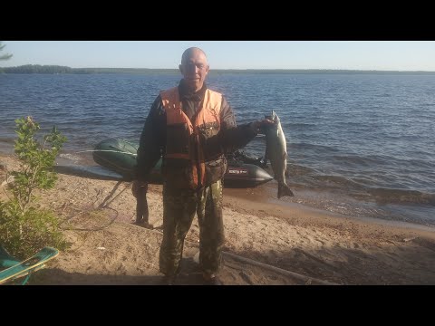 Видео: Всё лето на острове. 8 серия 