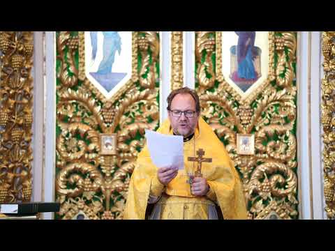 Видео: Люди, которые удивили всех...