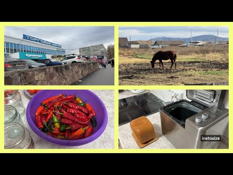 Видео: До больницы.Сьездили в DNS. Острый перчик🌶️ Сомнения в ХЛЕБОПЕЧКЕ. 