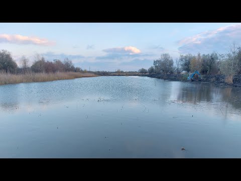 Видео: Оренда водойми. Чистимо берег від очерету. Фінал.