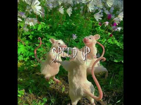 Видео: черёмушка speed up