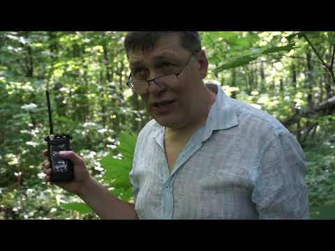 Видео: Какие рации лучше работают в лесу и почему